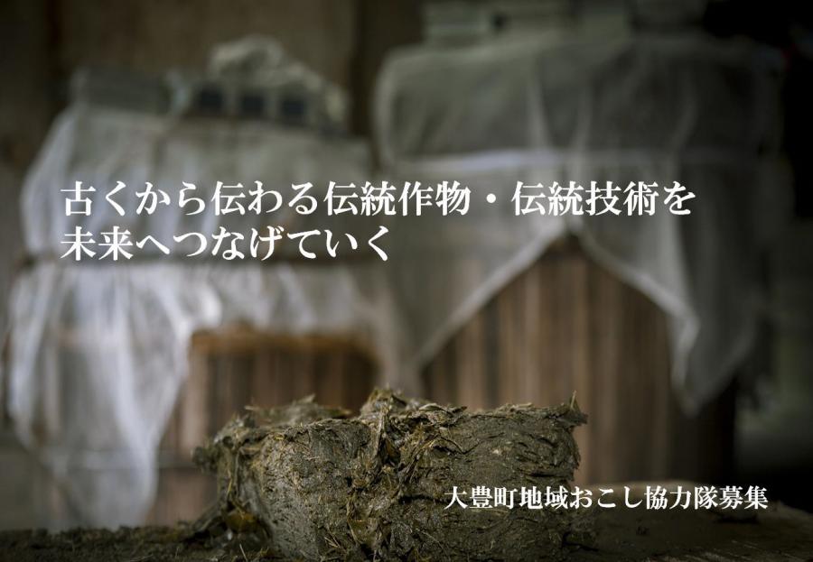 【大豊町】伝統作物・伝統技術を未来へ紡ぐ人材求む！<br>「碁石茶」「銀不老豆」を軸にした産業振興