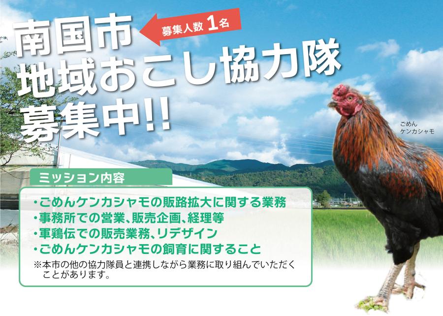 【南国市】地域おこし協力隊募集！（企業委託型）シャモの販路開拓・飼育してくれる方を募集します