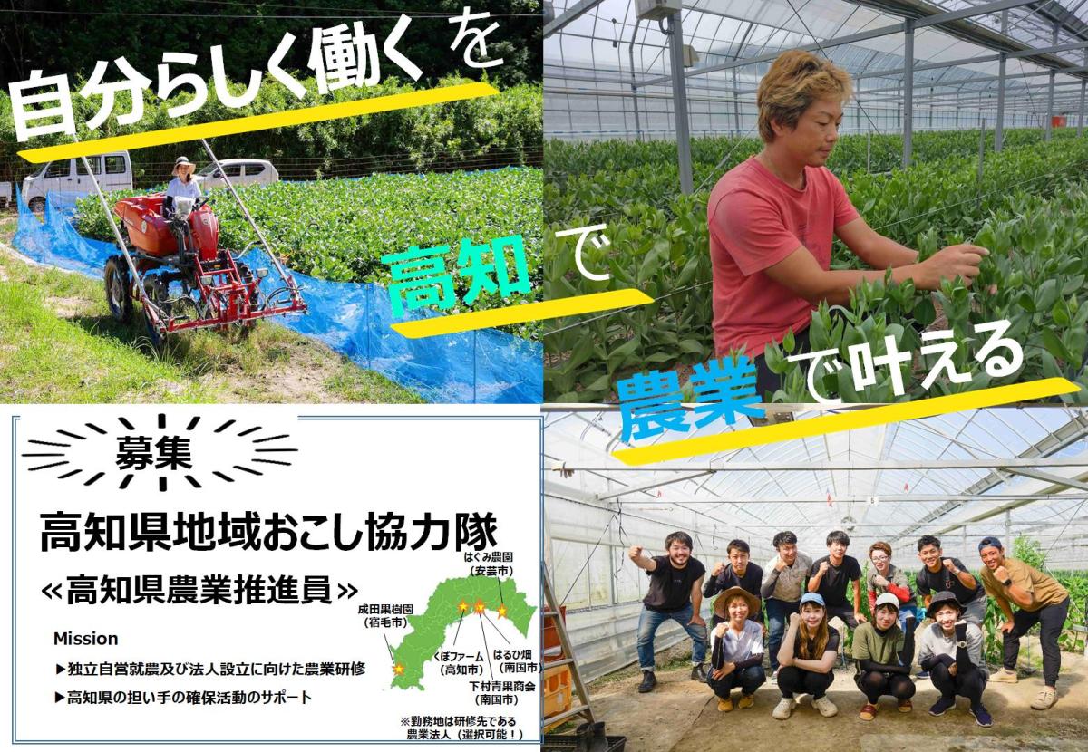 【高知県採用】≪高知県農業推進員を募集！!≫ミッションは独立に向けた農業研修と高知県の担い手確保活動のサポート！
