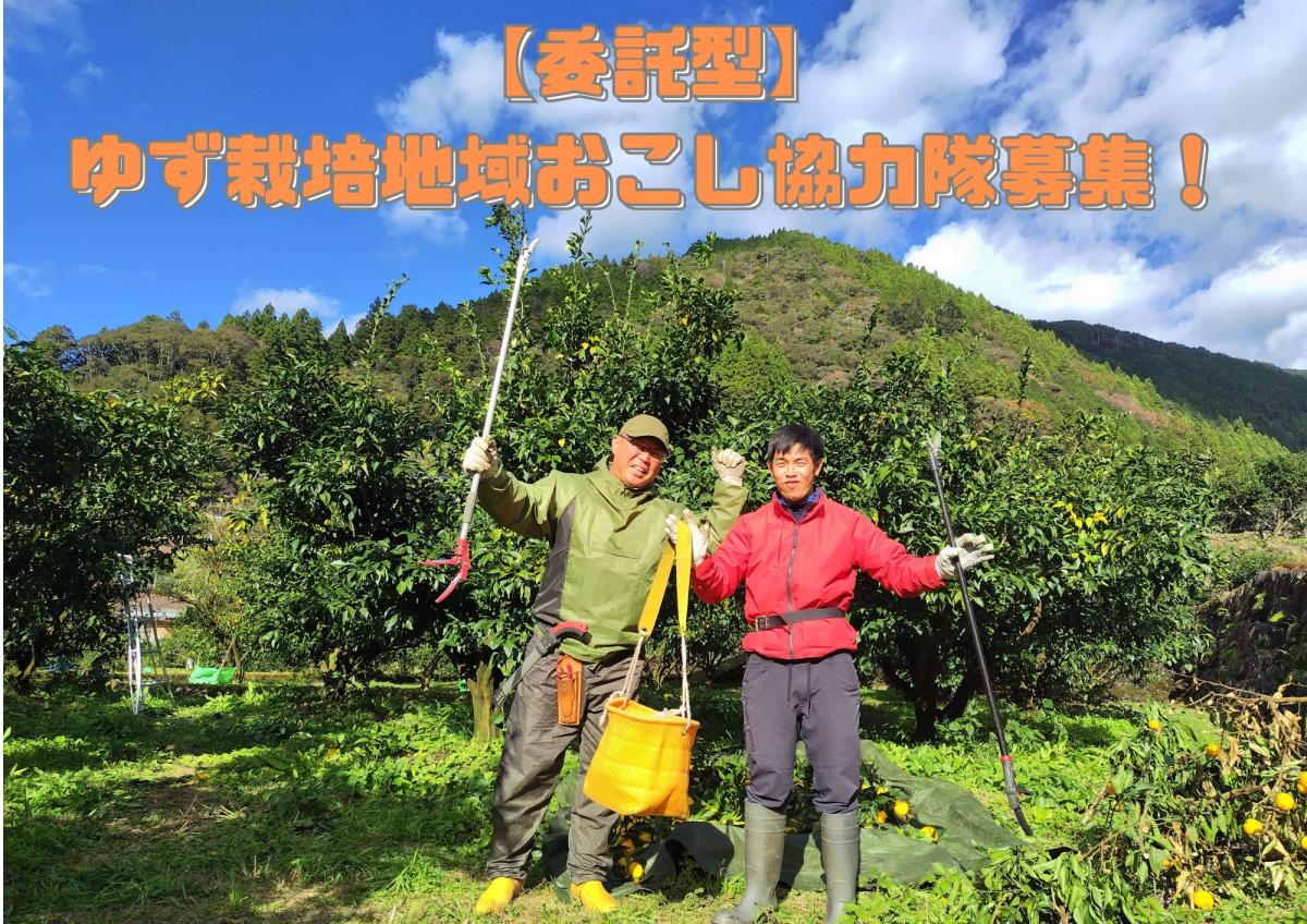 【馬路村】令和7年度採用　ゆず栽培の地域おこし協力隊（委託型）を募集します！　