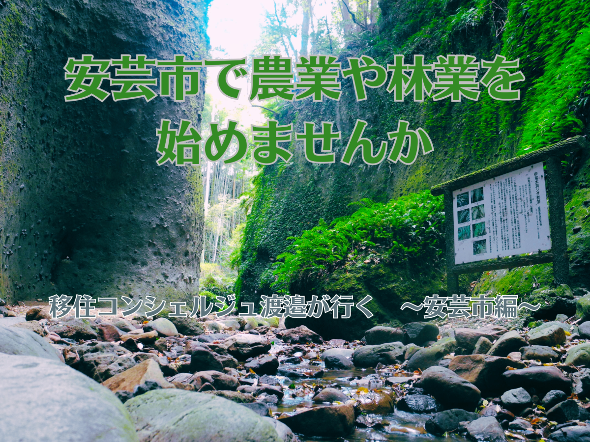 【安芸市】安芸市で農業や林業を始めませんか（移住コンシェルジュ渡邉が行く　～安芸市編～）