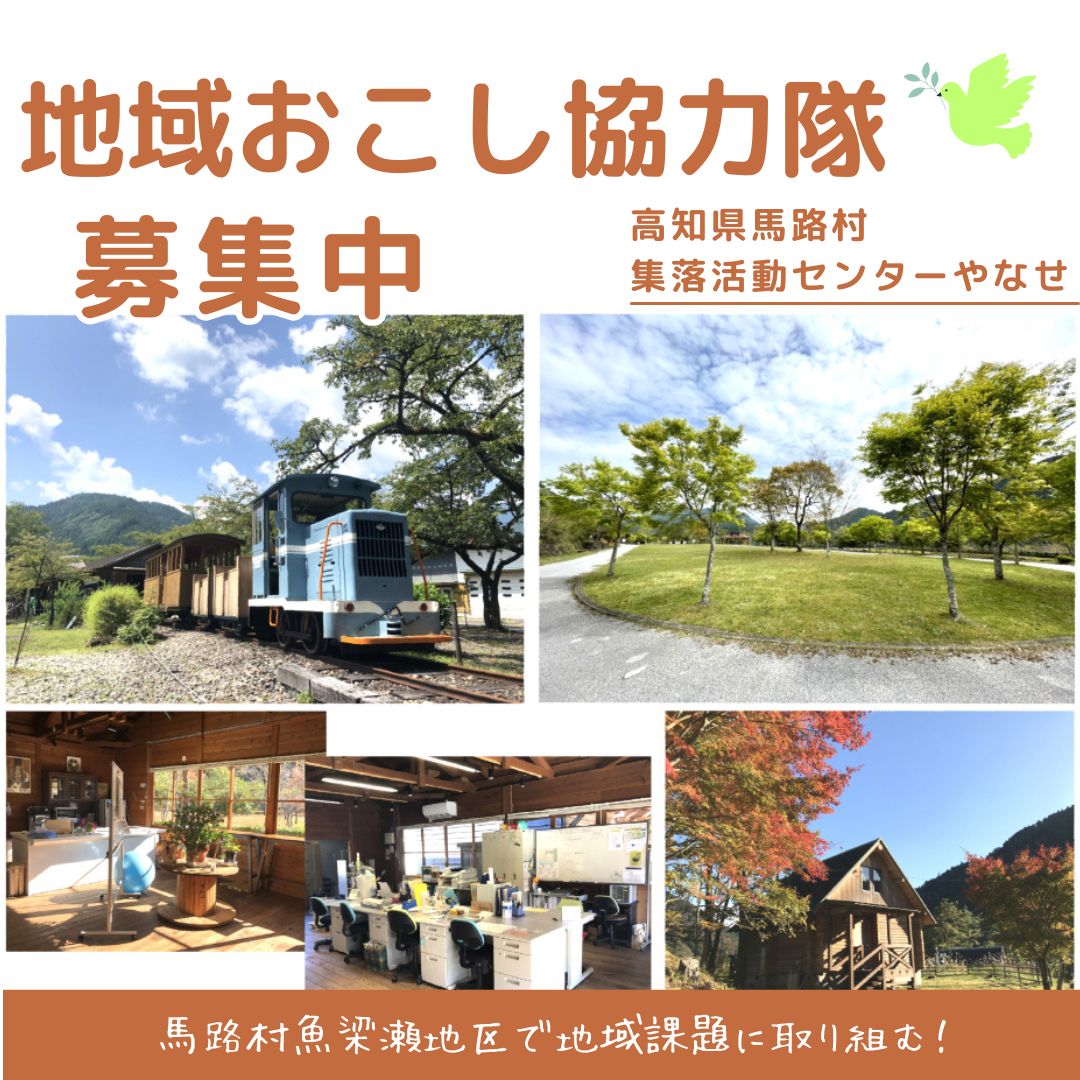 【令和7年度】魚梁瀬地域おこし協力隊（集落活動）　
