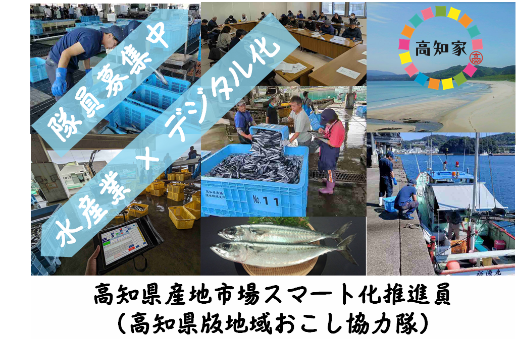 【高知県】水産業×デジタル化！高知県産地市場スマート化推進員（高知県版地域おこし協力隊）募集中