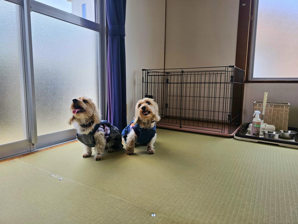 クッションフロアで安心