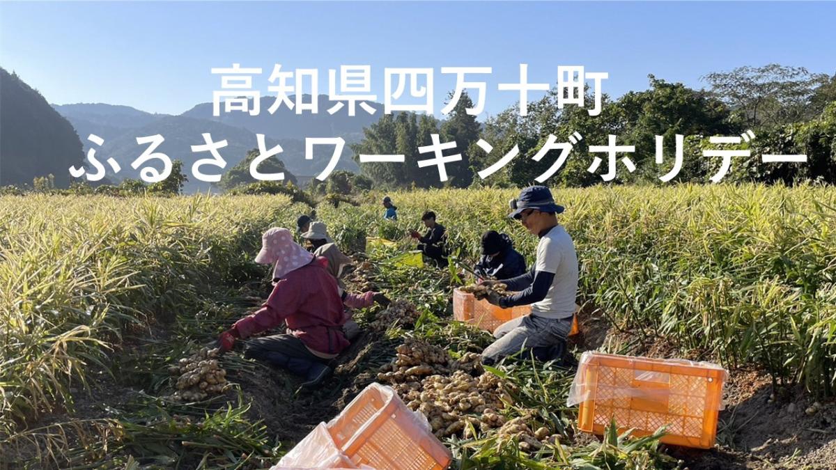 【四万十町】働きながら「学ぶ」「暮らす」ふるさとワーキングホリデー参加者募集中！