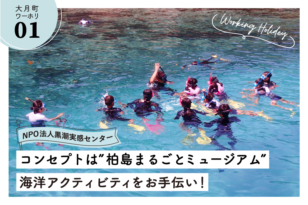 【大月町】柏島まるごとミュージアムをコンセプトに、持続可能な里海づくりに向けて一緒に働きませんか？