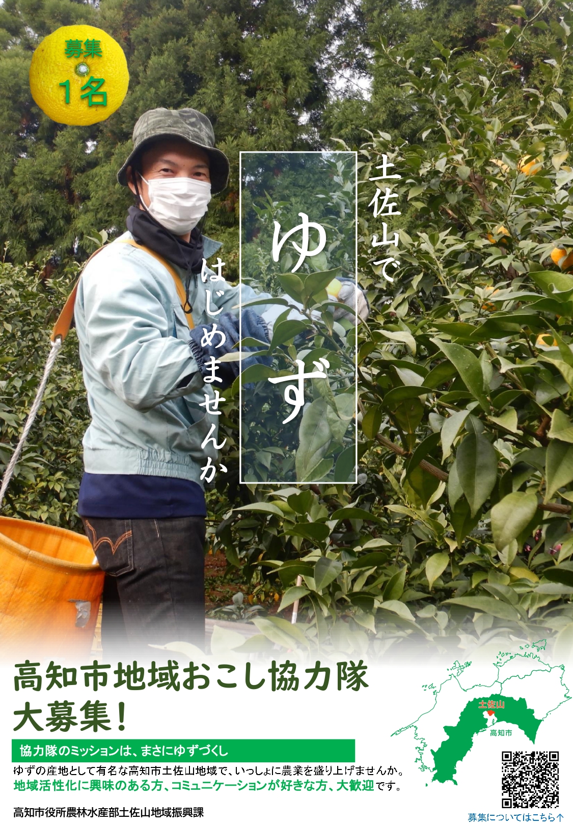【高知市】土佐山のゆず文化を担っていただける地域おこし協力隊を募集！