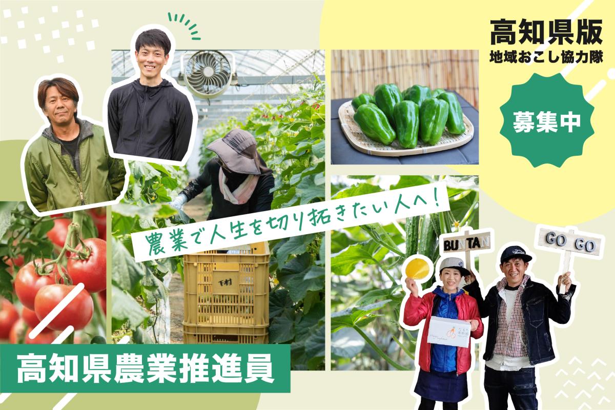 農業で人生を切り拓きたい人へ、高知県版地域おこし協力隊「農業推進員」募集中！
