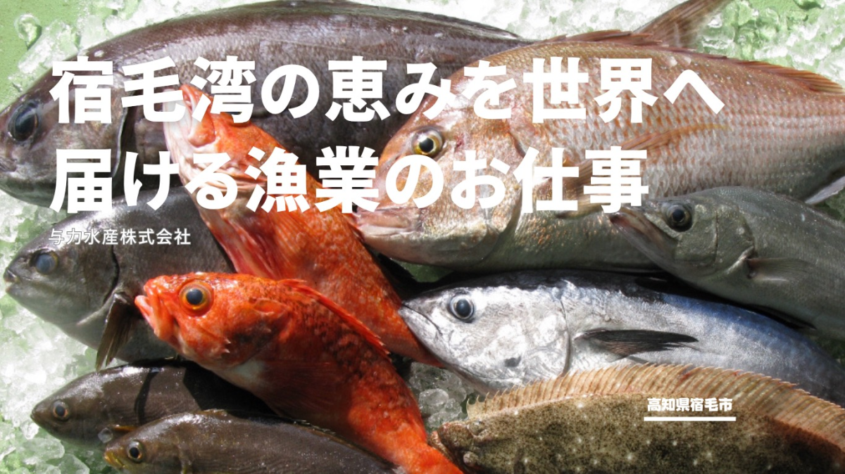 【宿毛市】  プロの目利き仕入れ・加工・流通の現場で学びながら海の恵みを届ける仕事にチャレンジしませんか？！