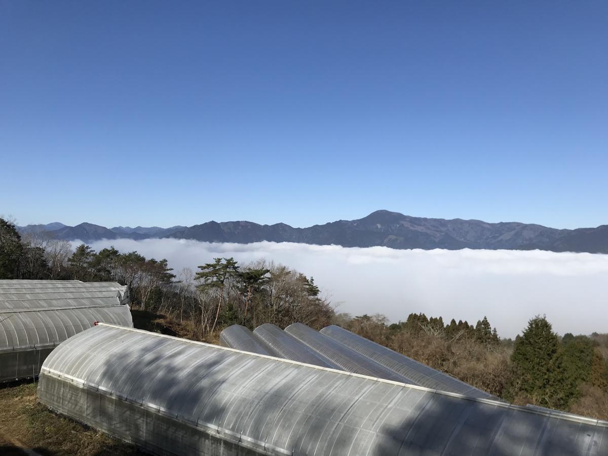 【大豊町】有機農産物の価値をさらに高め、地域に根差した「6次産業化」を受入団体とともに推進する地域おこし協力隊を募集します！