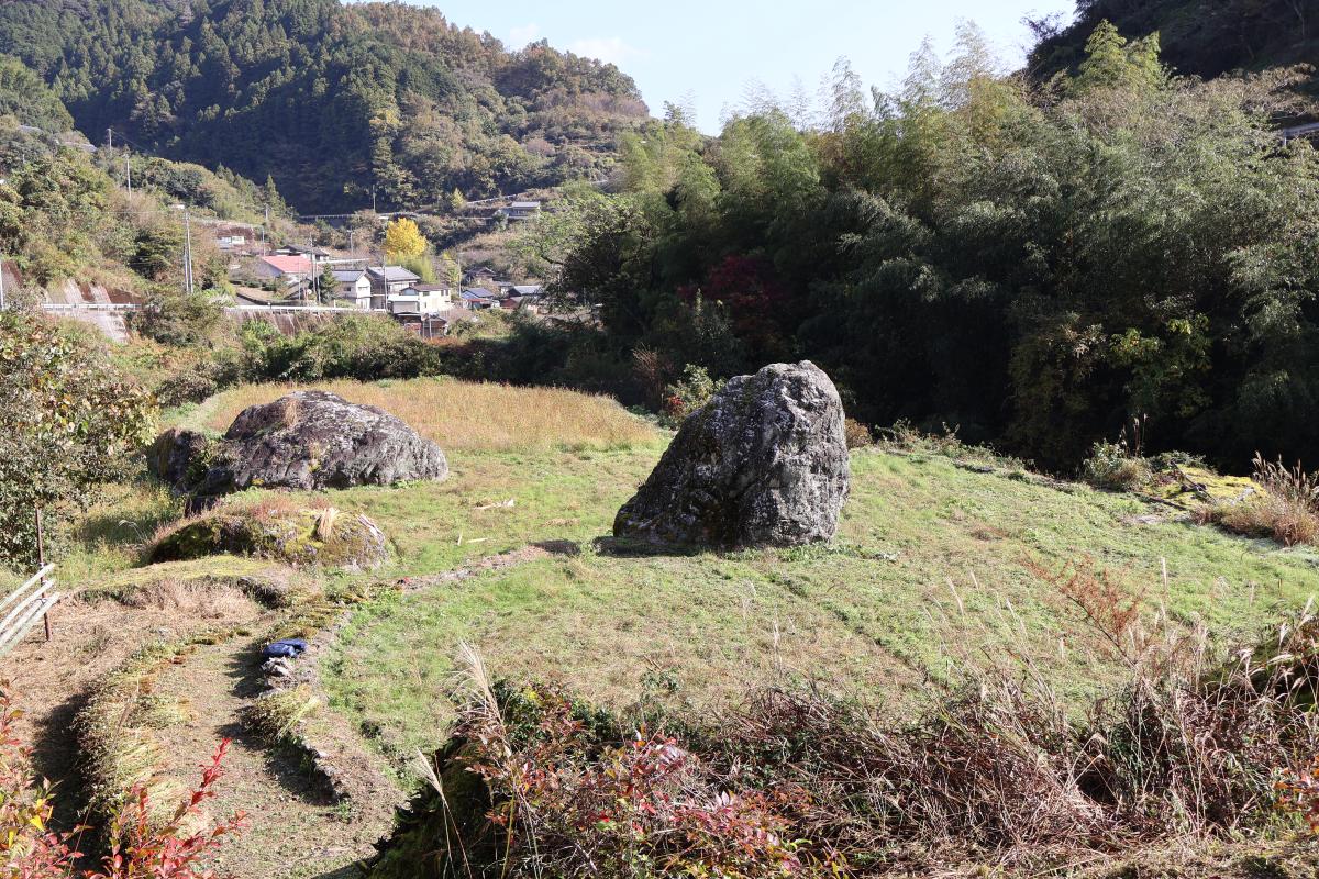 約半分の作業が進んだそば畑