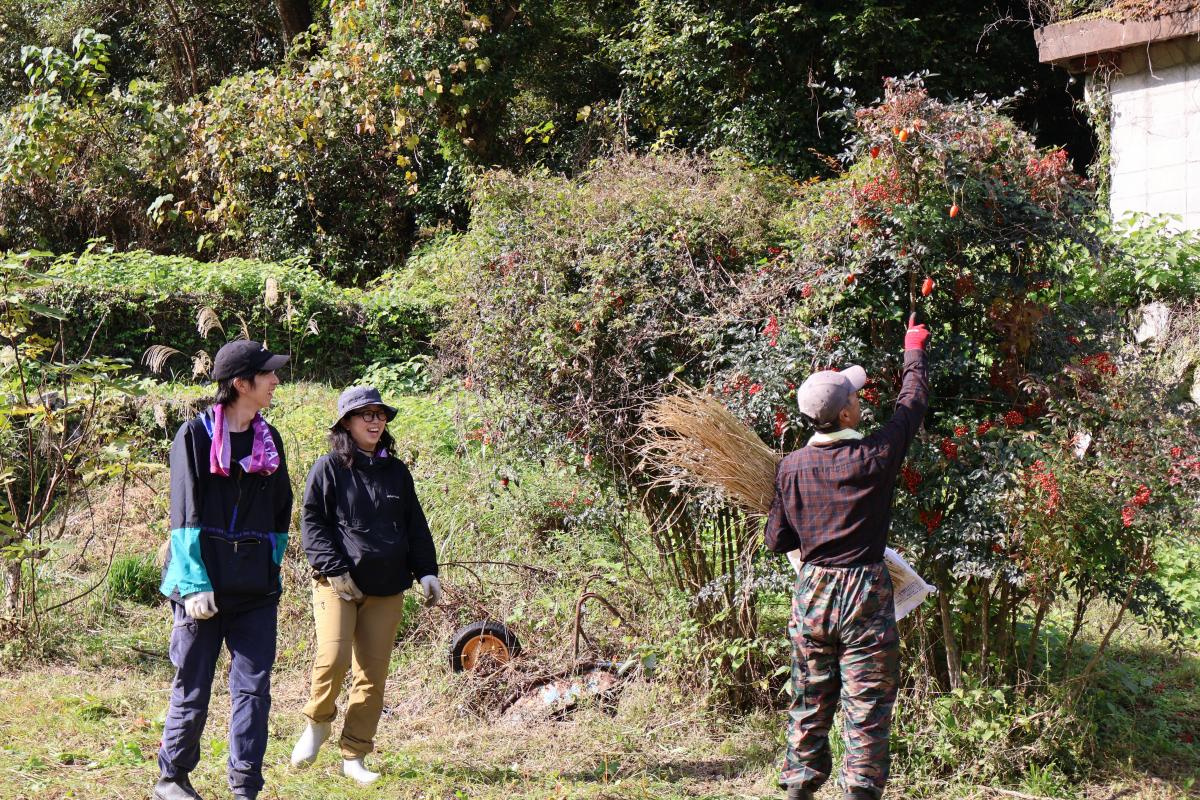 そば畑の脇になっていたカラスウリの実