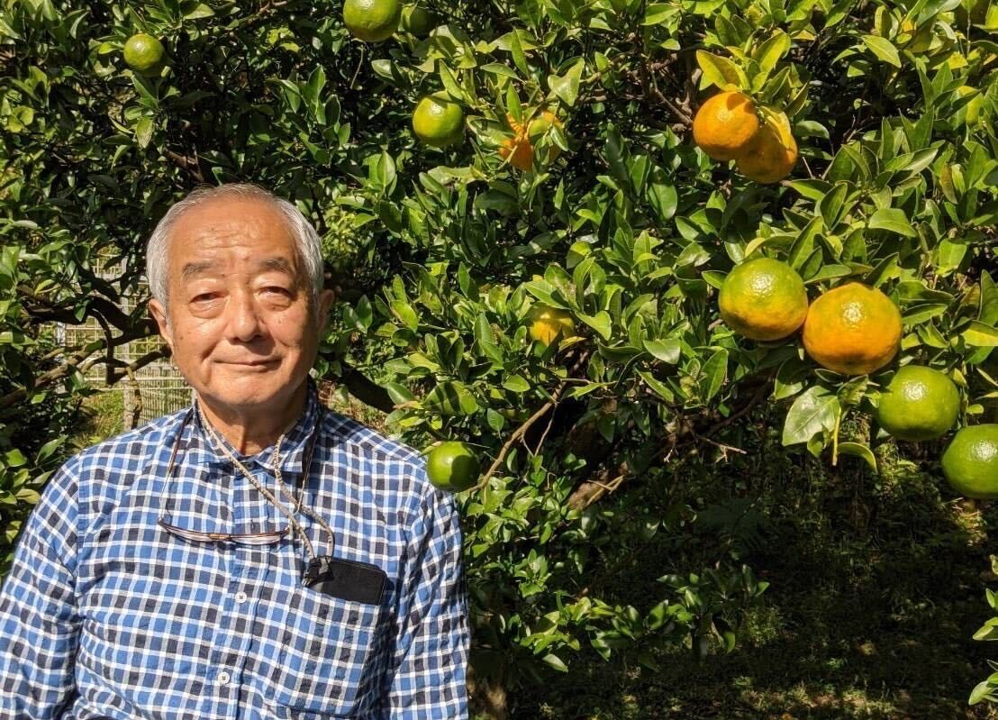 【東洋町】土佐柑橘の収穫体験！