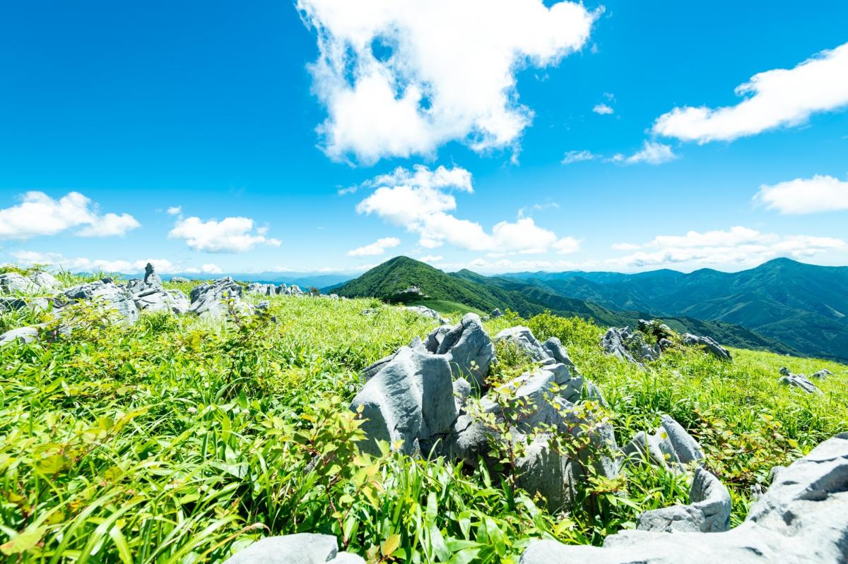 【奥四万十エリア】観光地域づくり推進員（高知県版地域おこし協力隊）を募集します！！