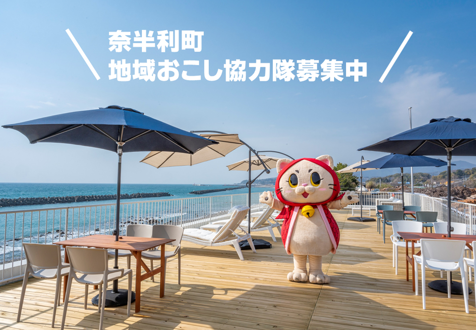 【移住・観光振興業務】地域おこし協力隊を募集します