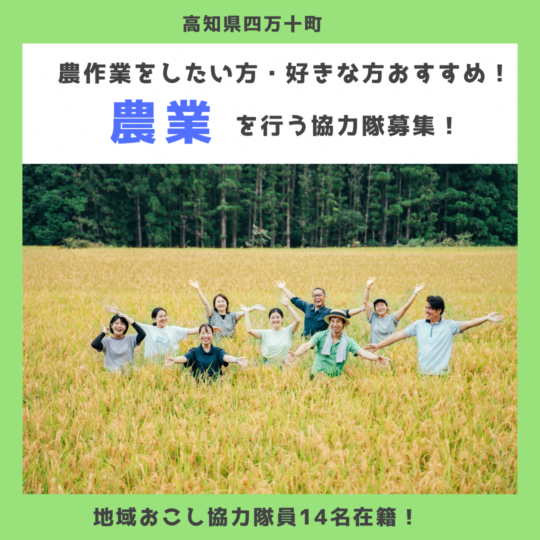 【四万十町地域おこし協力隊】農作業をしたい方・好きな方におすすめ！農業を行う協力隊募集！