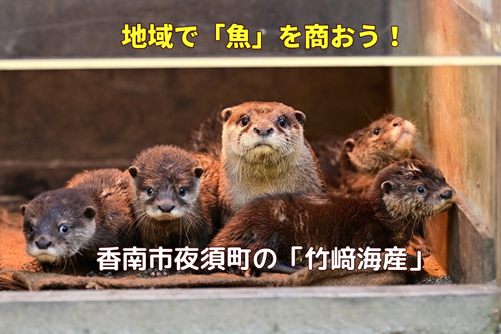 【香南市】地域で「魚」を商おう！