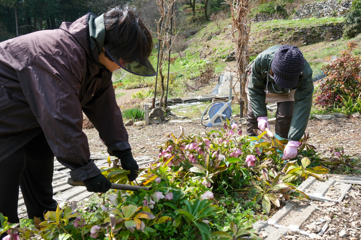 鎌を片手に草刈り