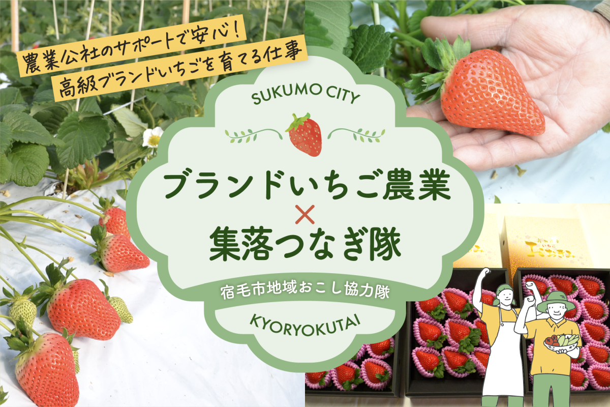 【宿毛市】「ブランドいちご農業×集落つなぎ隊」に挑戦する仲間を募集！