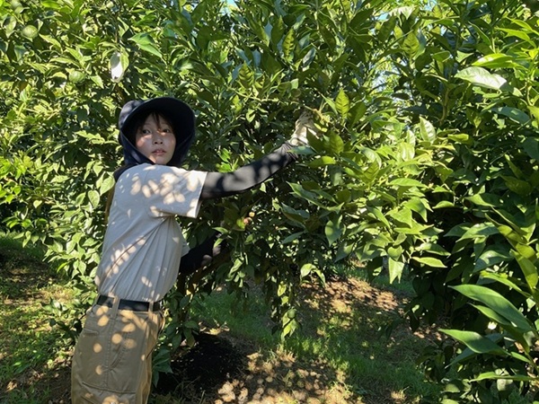 ” 私たちの活動が 地域を元気にする！“地域おこし協力隊を募集します【北川村】