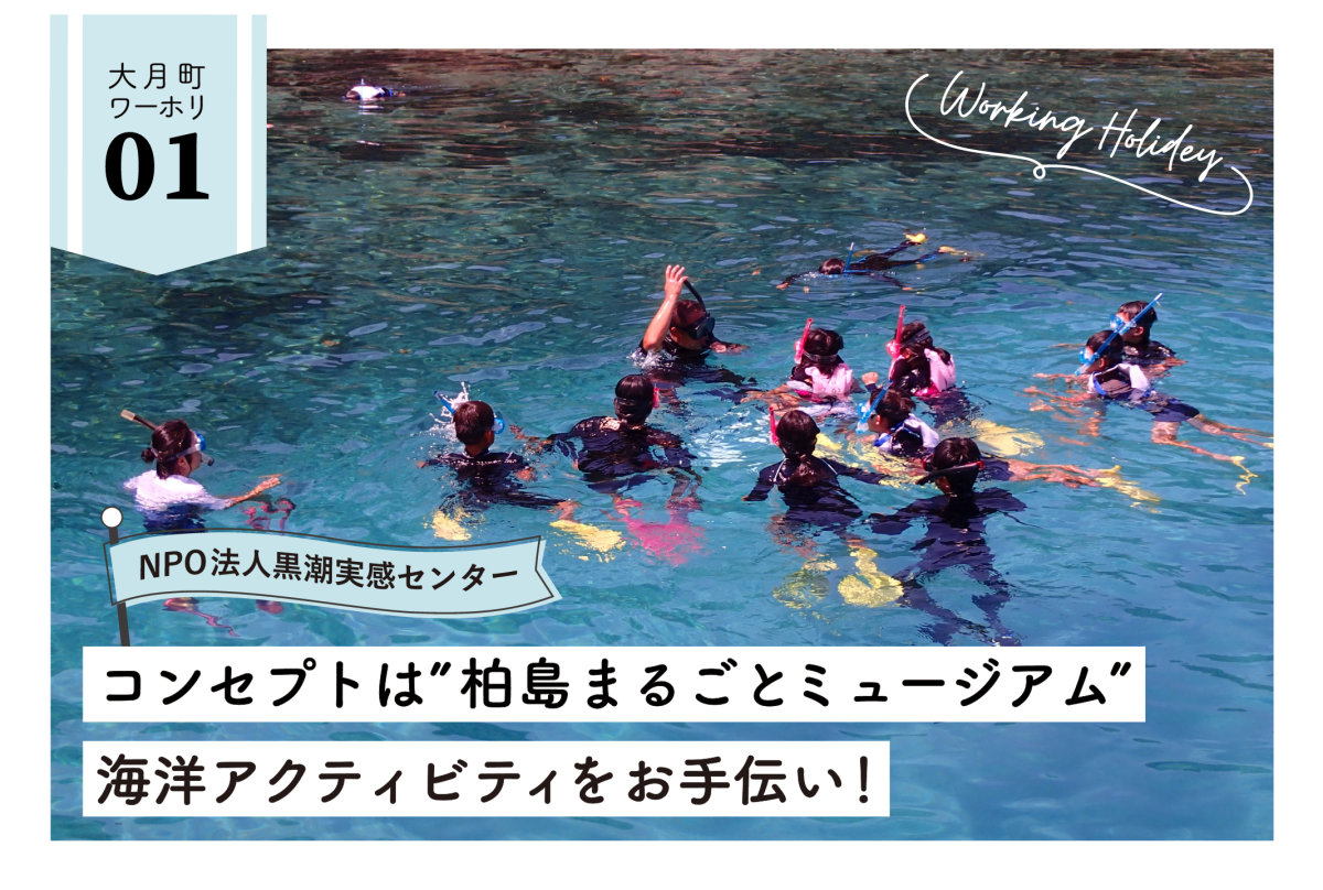 【大月町】柏島まるごとミュージアムをコンセプトに、持続可能な里海づくりに向けて一緒に働きませんか？