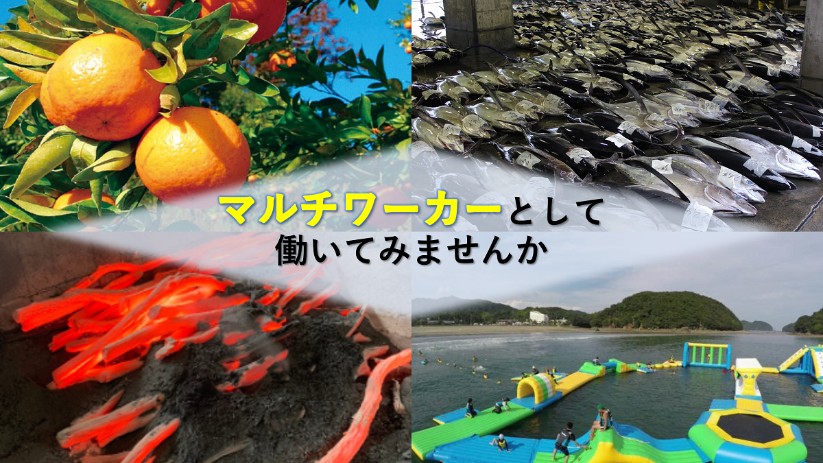 【東洋町】あなたのライフスタイルがそこにある。複数の仕事を組み合わせて働く東洋町バツグン協同組合のメンバーを募集！