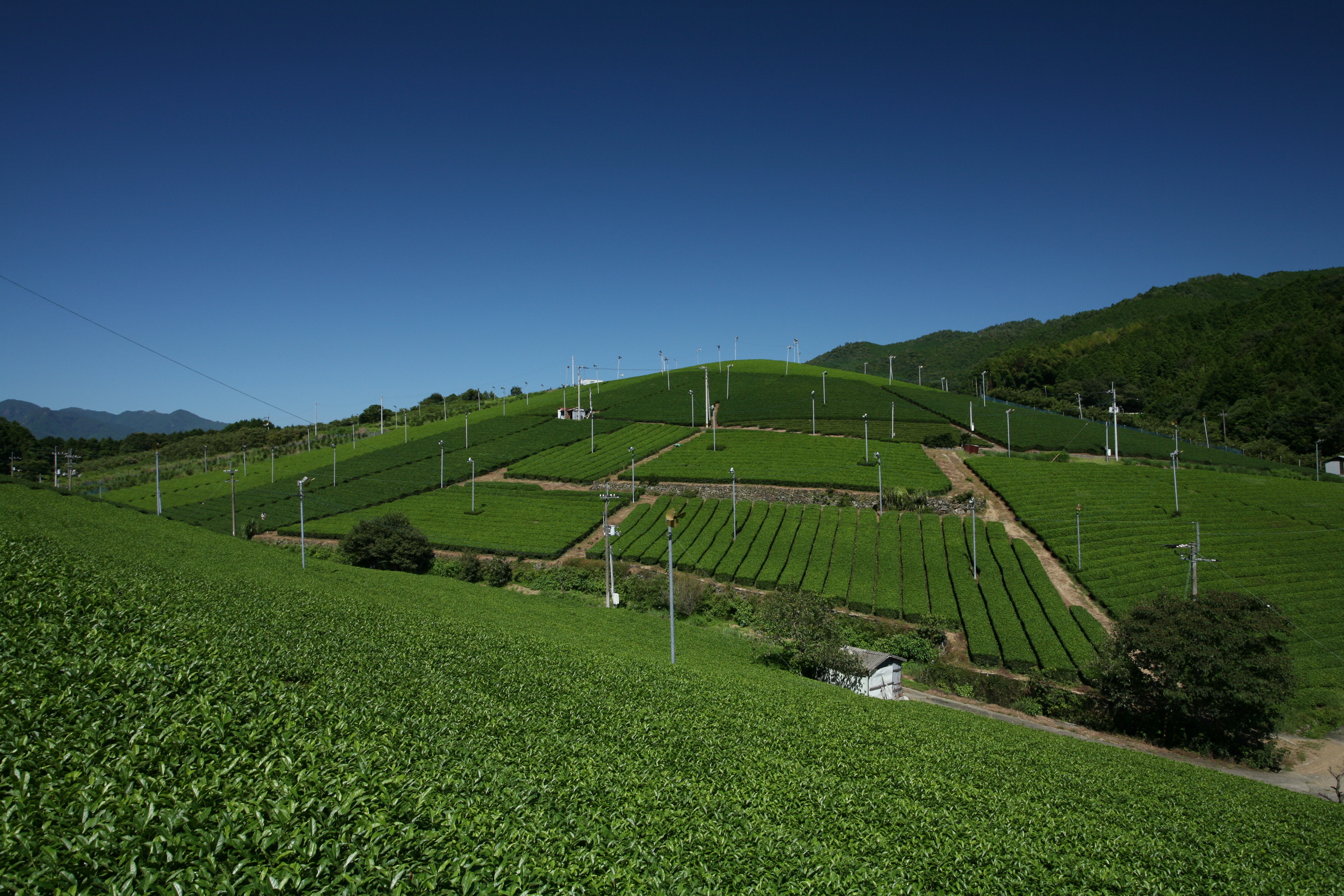 【佐川町】職員採用試験