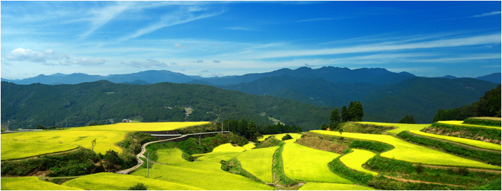 【高知県版地域おこし協力隊】観光プランの企画・運営、マーケティングスタッフ募集中！