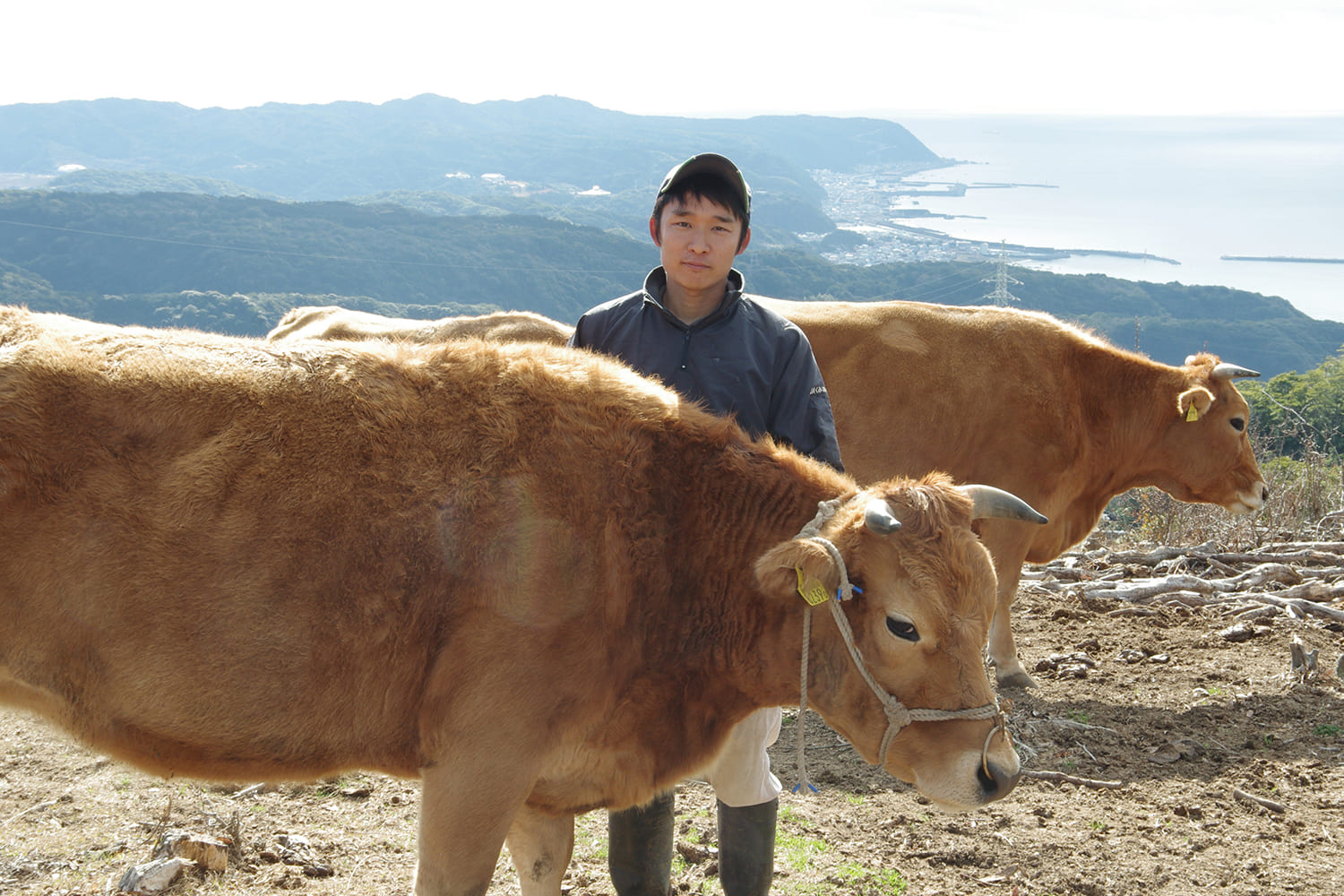 ご縁とタイミングがぴったりはまり、念願だった山地放牧で独立することができました