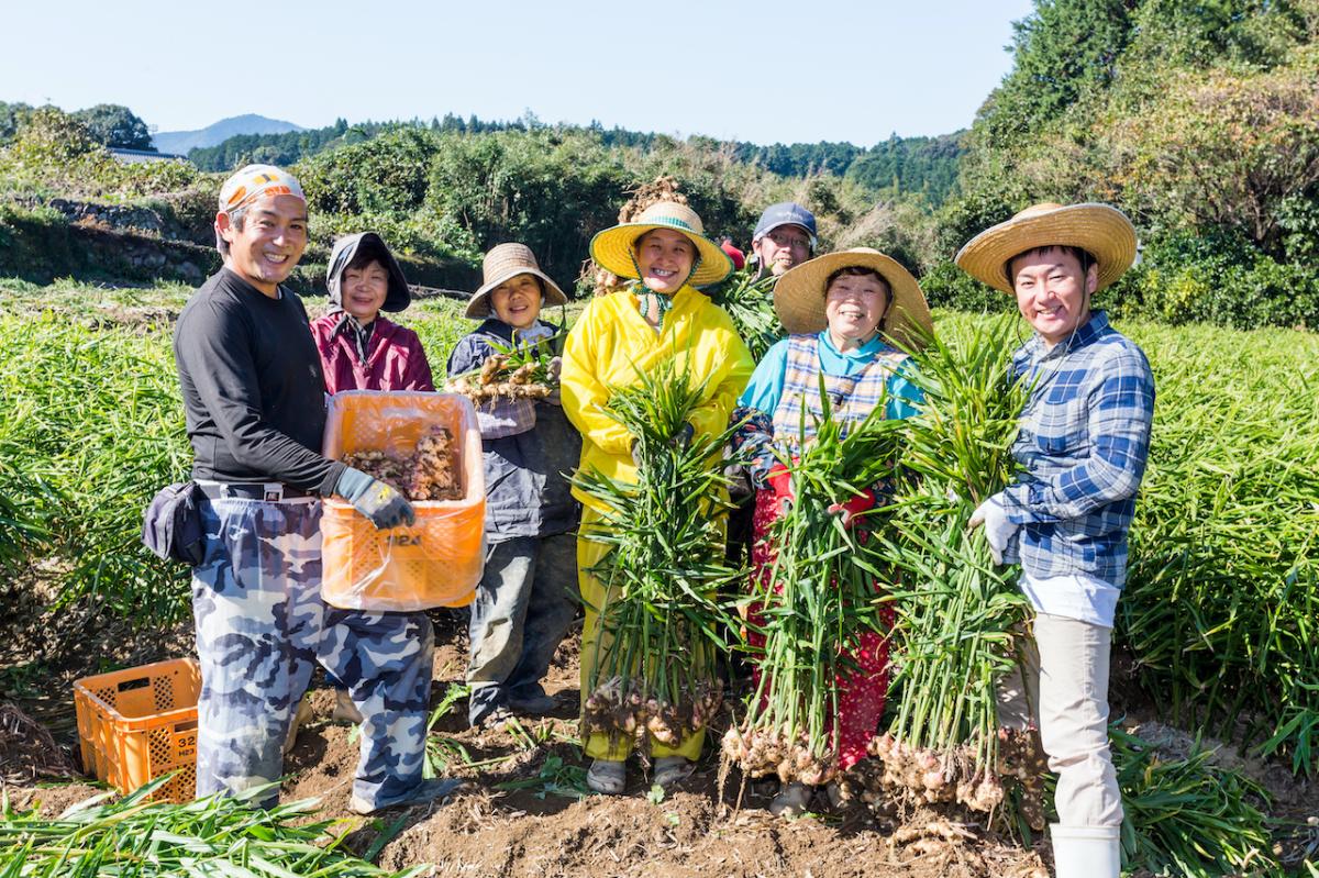 高知県産の生姜を全国の食卓へ！株式会社あさの