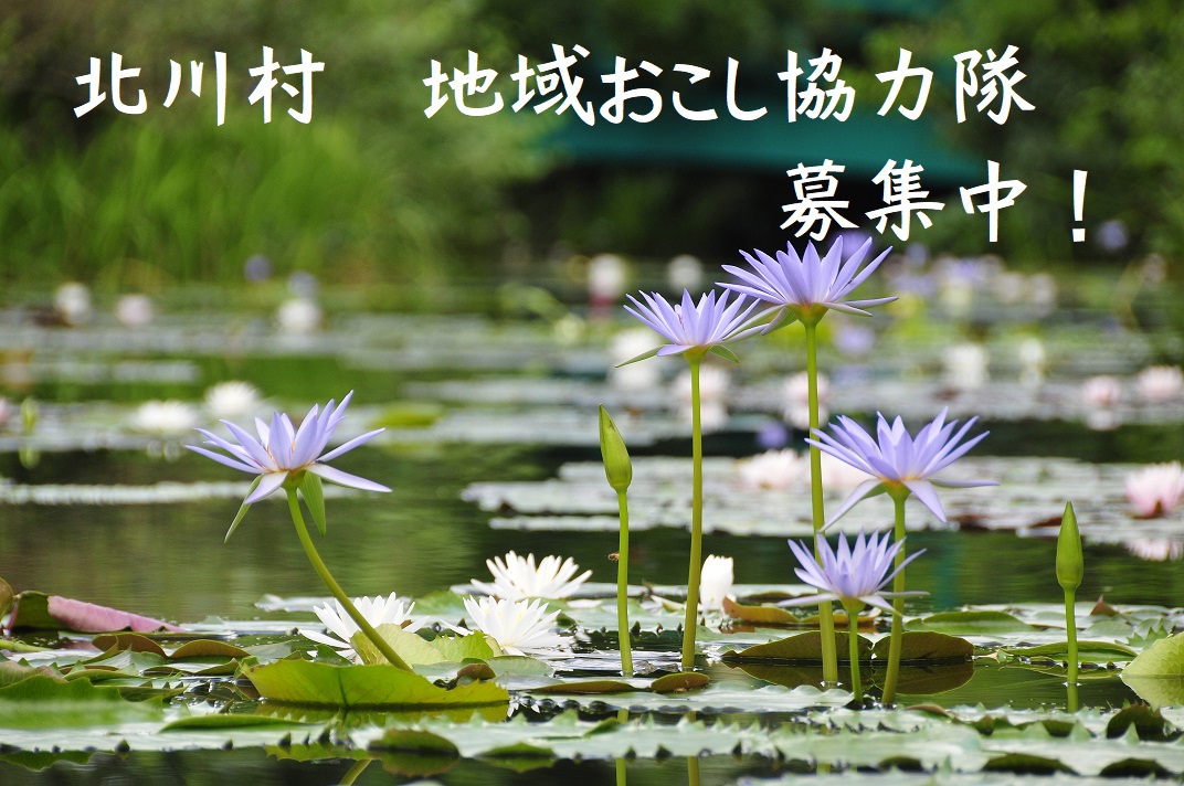 【北川村】芸術的視点から村の魅力を発信／地域おこし協力隊を募集します！