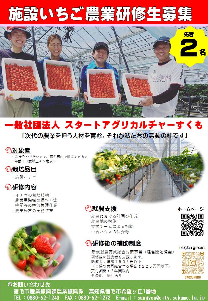 【宿毛市】いちご農家になろう！未経験可／独立支援（農業経営・農業簿記研修等）／男女共に活躍