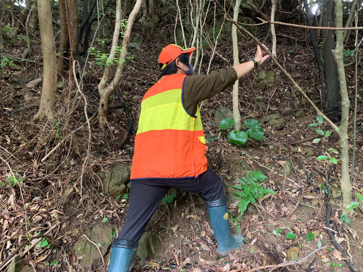 【土佐清水市】鳥獣対策担当 地域おこし協力隊募集中！