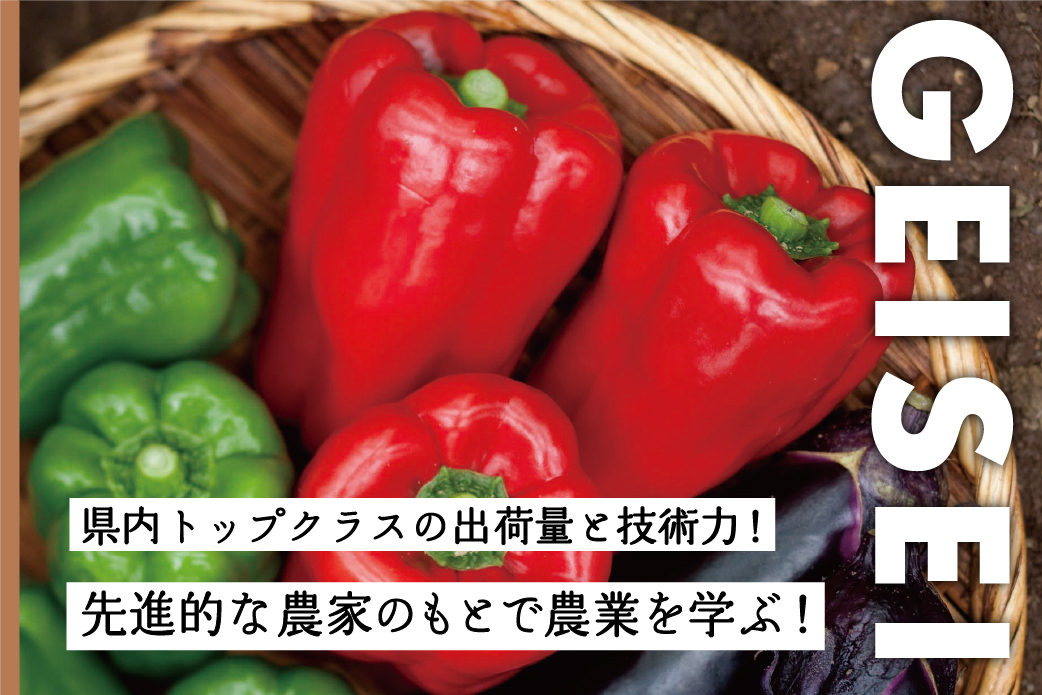 県内屈指の園芸農村で、農業の担い手を目指す。