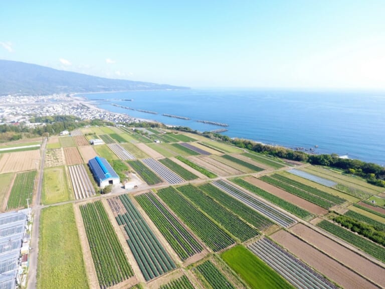 四国一小さな町・田野町