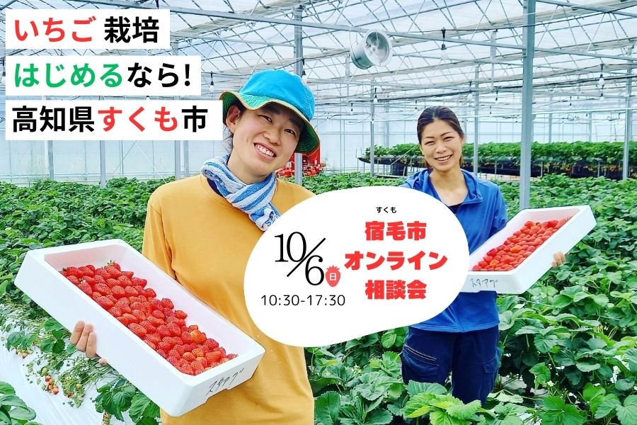 【オンライン】宿毛(すくも)市いちご相談会