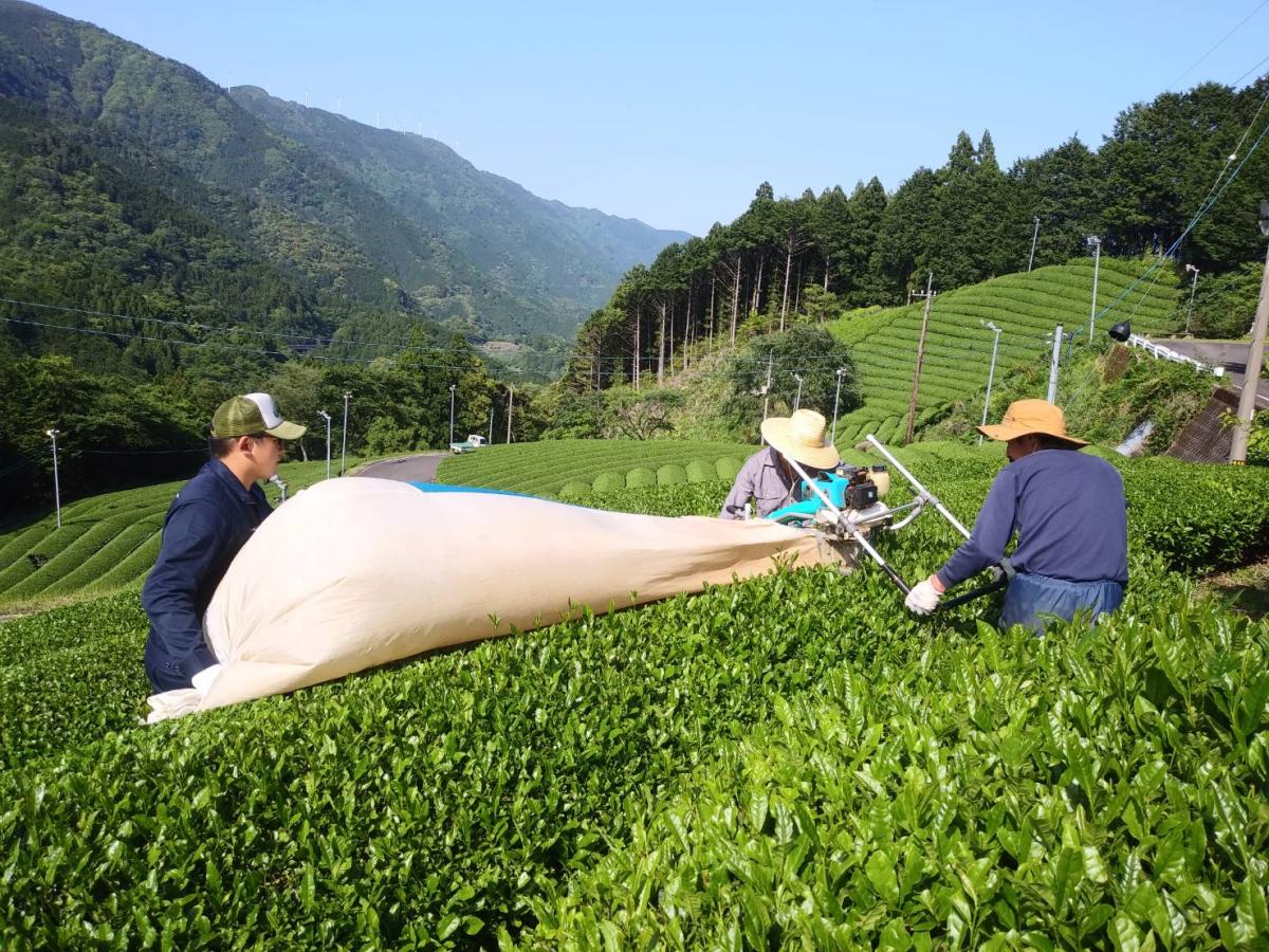 茶葉振興業務