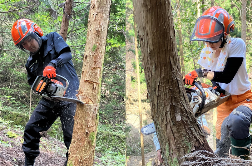 伐採体験