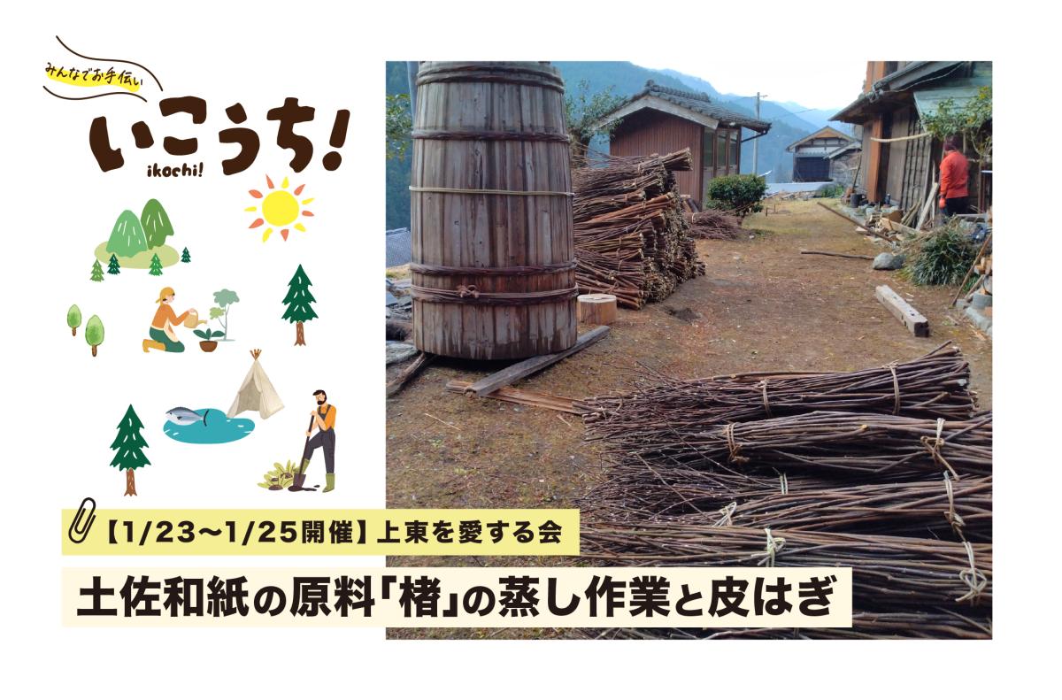 【1/23(金)〜1/25(日)いの町開催】土佐和紙の原料「楮」の蒸し作業と皮はぎのお手伝い募集！