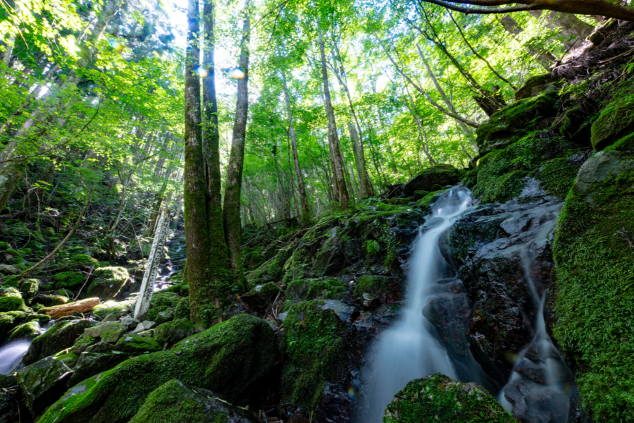 四万十川源流点