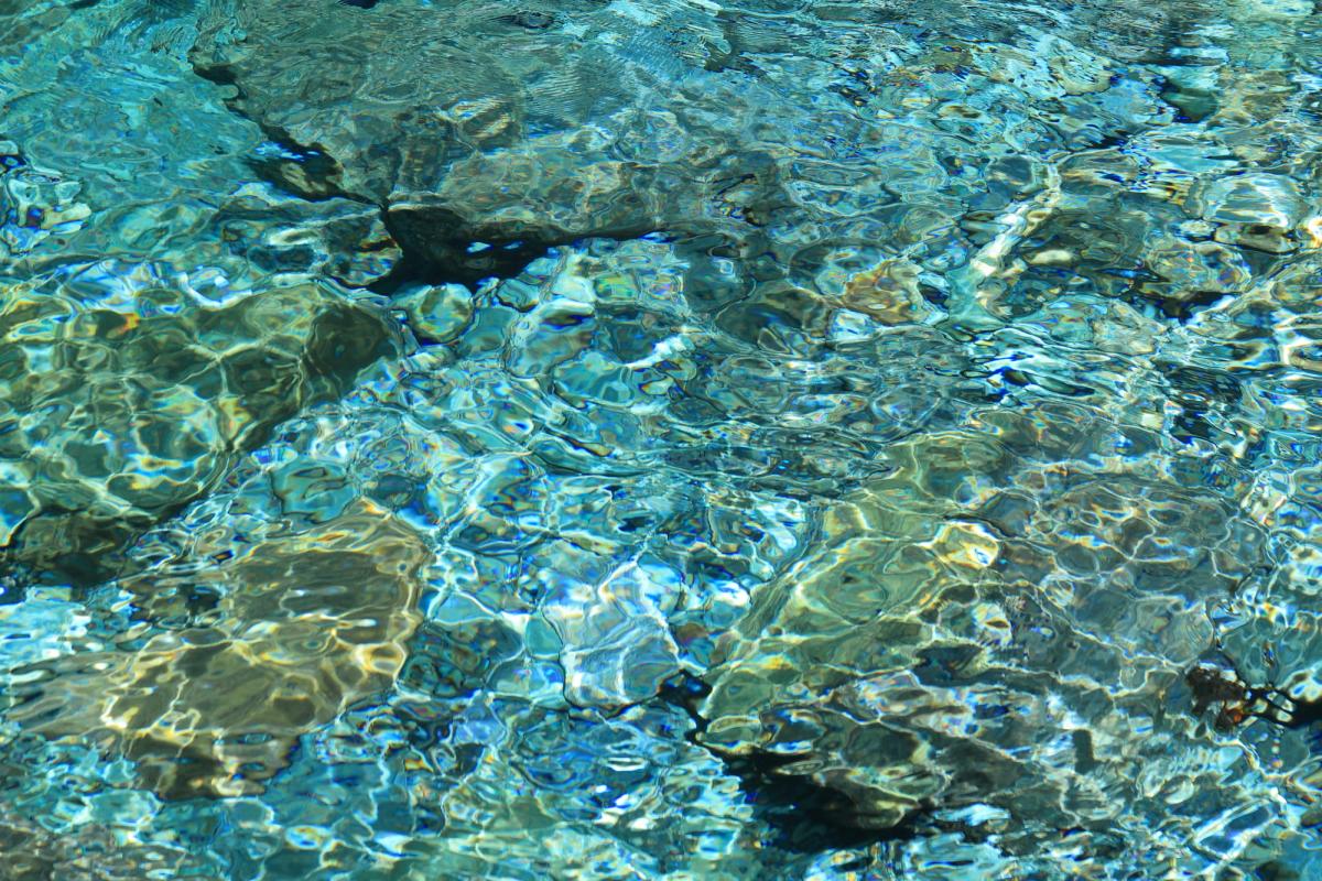 仁淀ブルーの透明度、現地で見るのが一番！