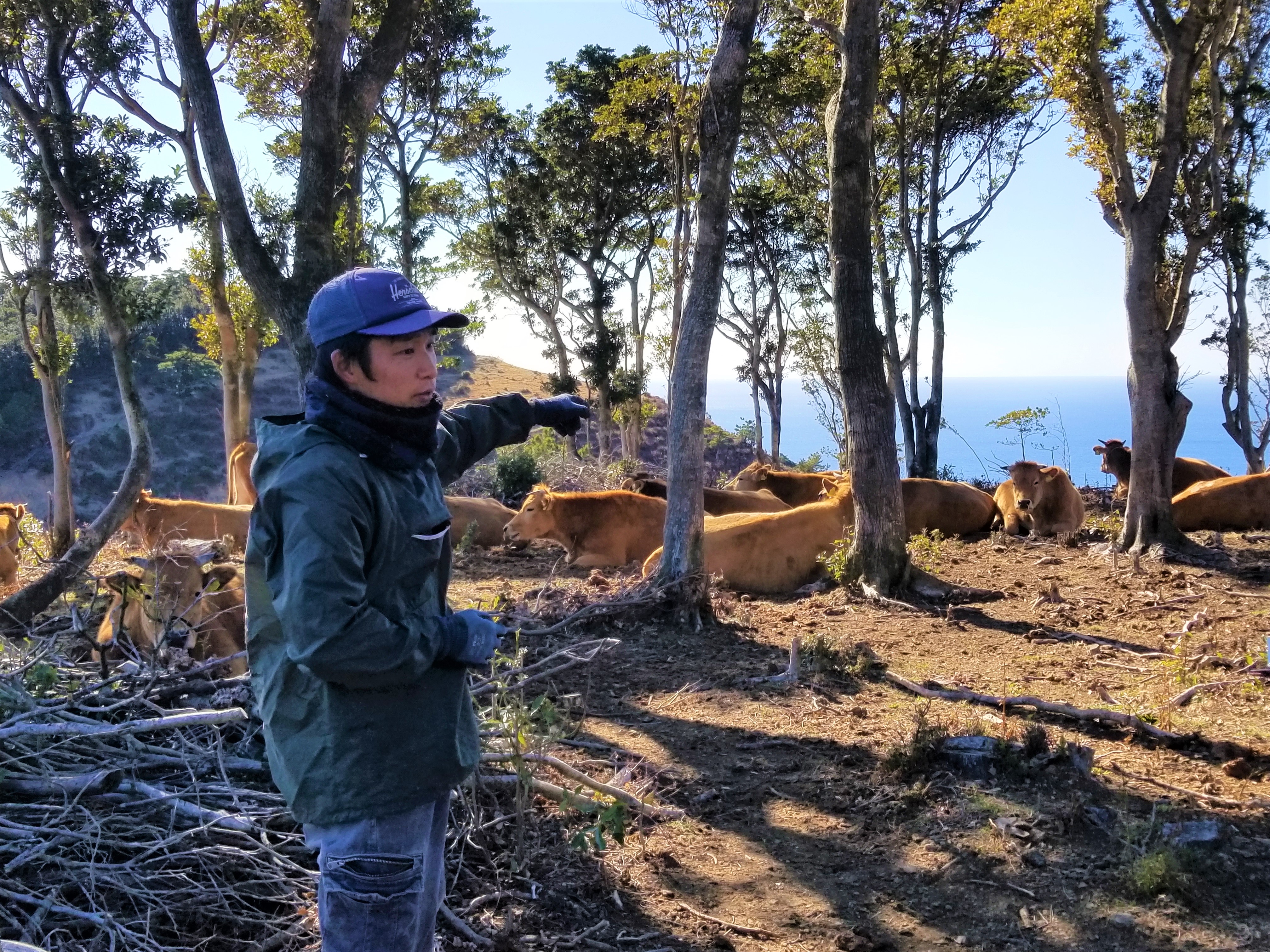 日本でも数少ない山地放牧で我が子のように愛情たっぷりに育てる
