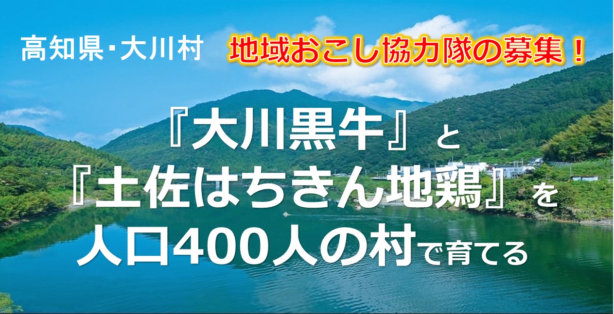 【大川村】『大川黒牛』と『土佐はちきん地鶏』を育てる　地域おこし協力隊を募集中！