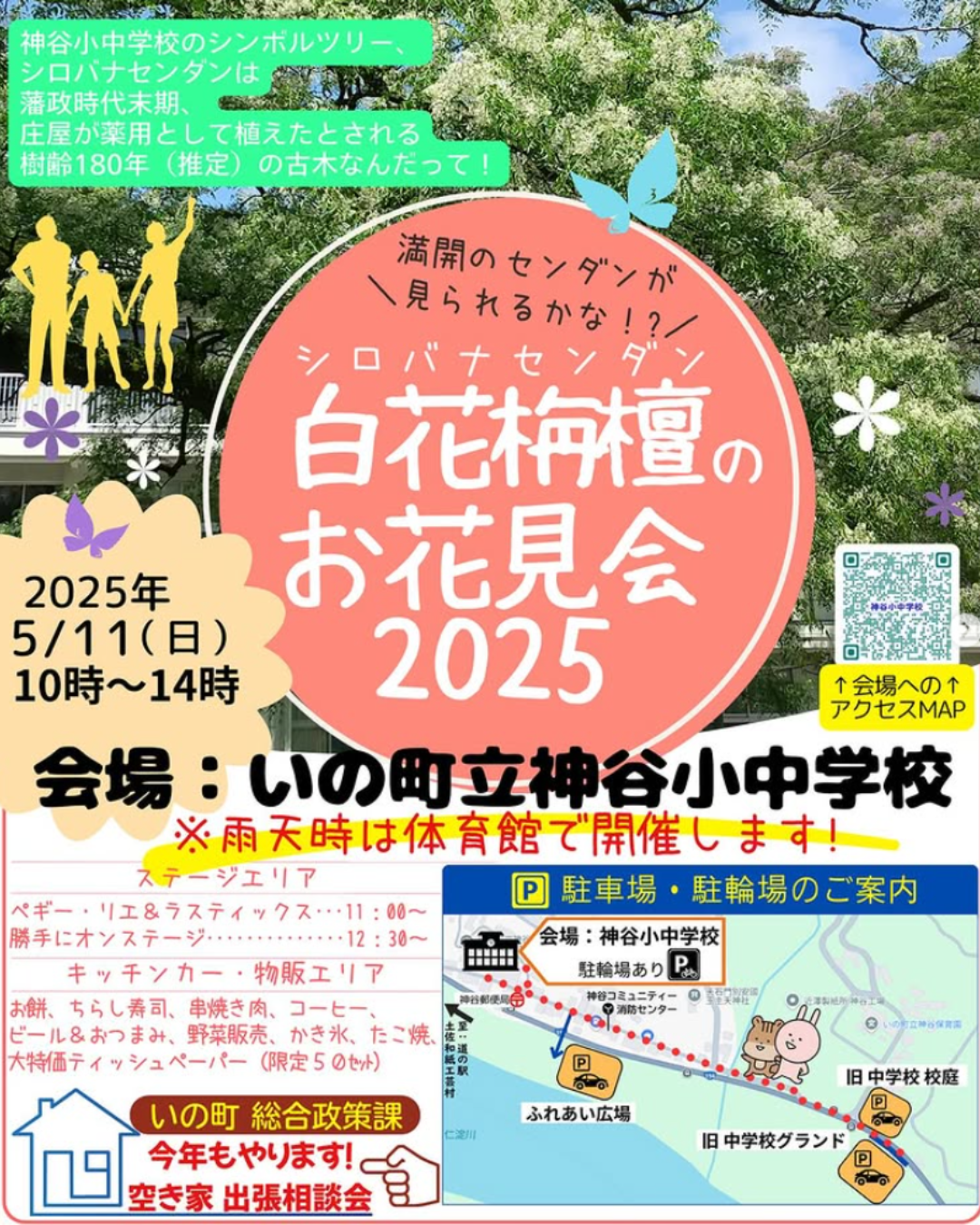 2025白花栴檀お花見会
