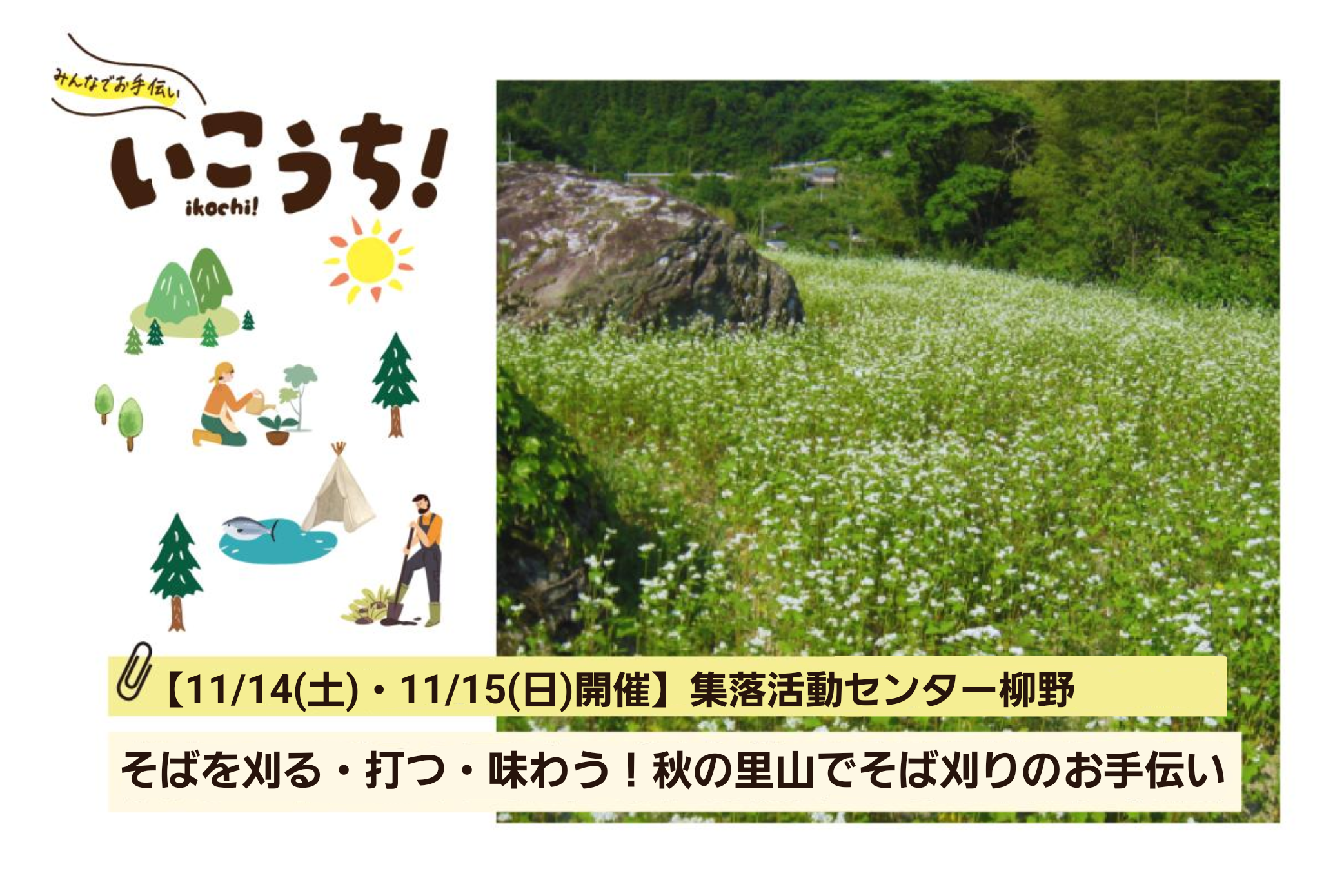 11月まとめそば