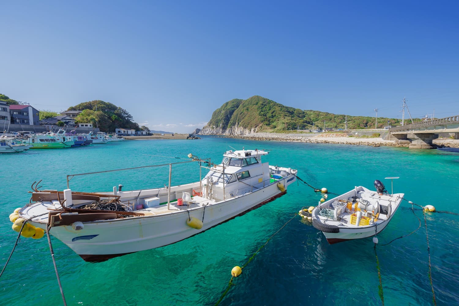 高知県の魅力トップ