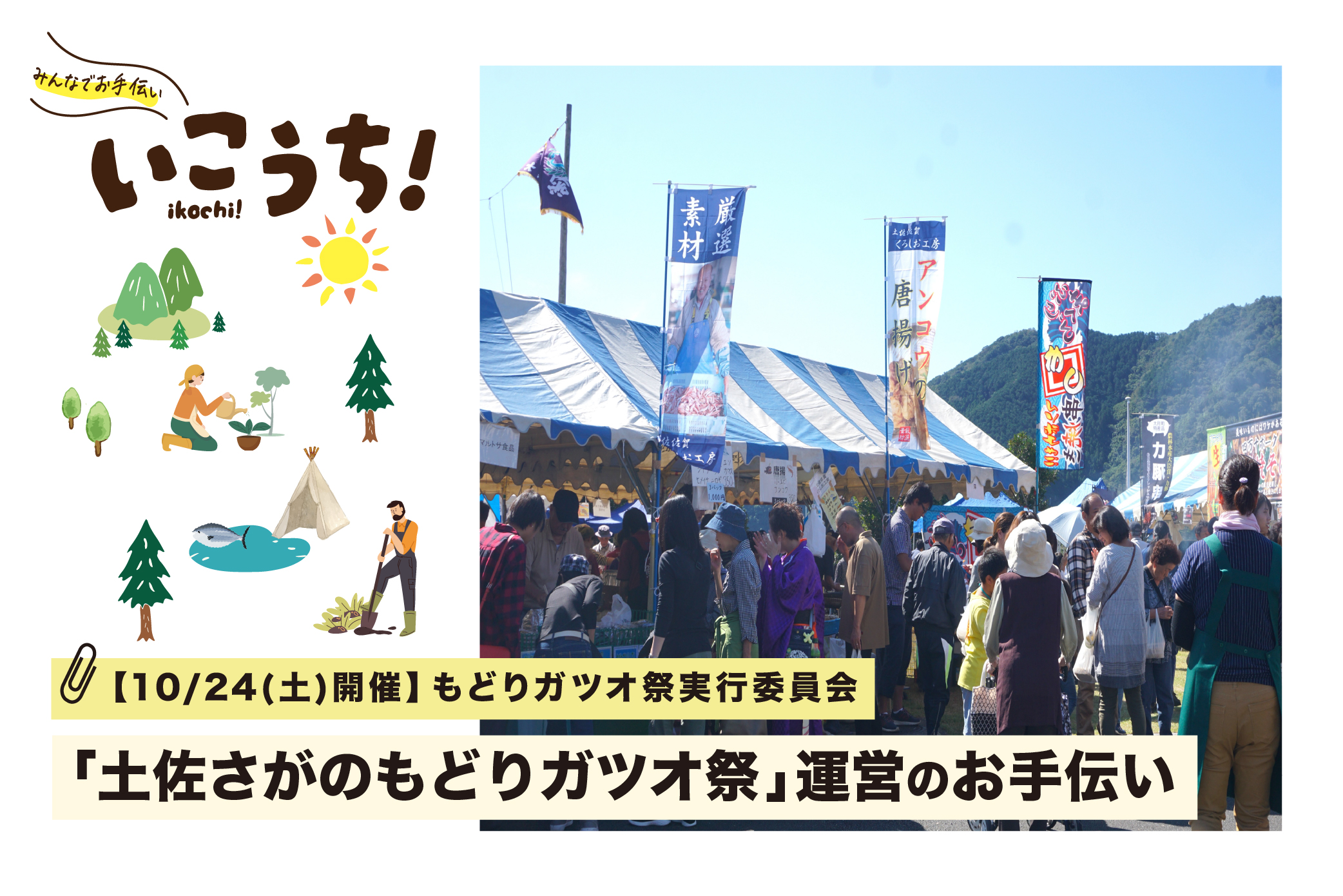 10月まとめもどりガツオ
