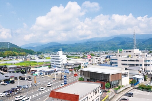 田野町