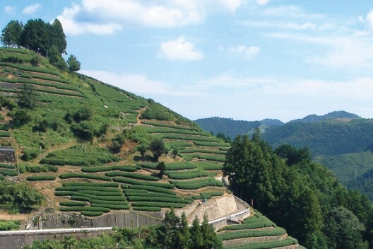 津野町