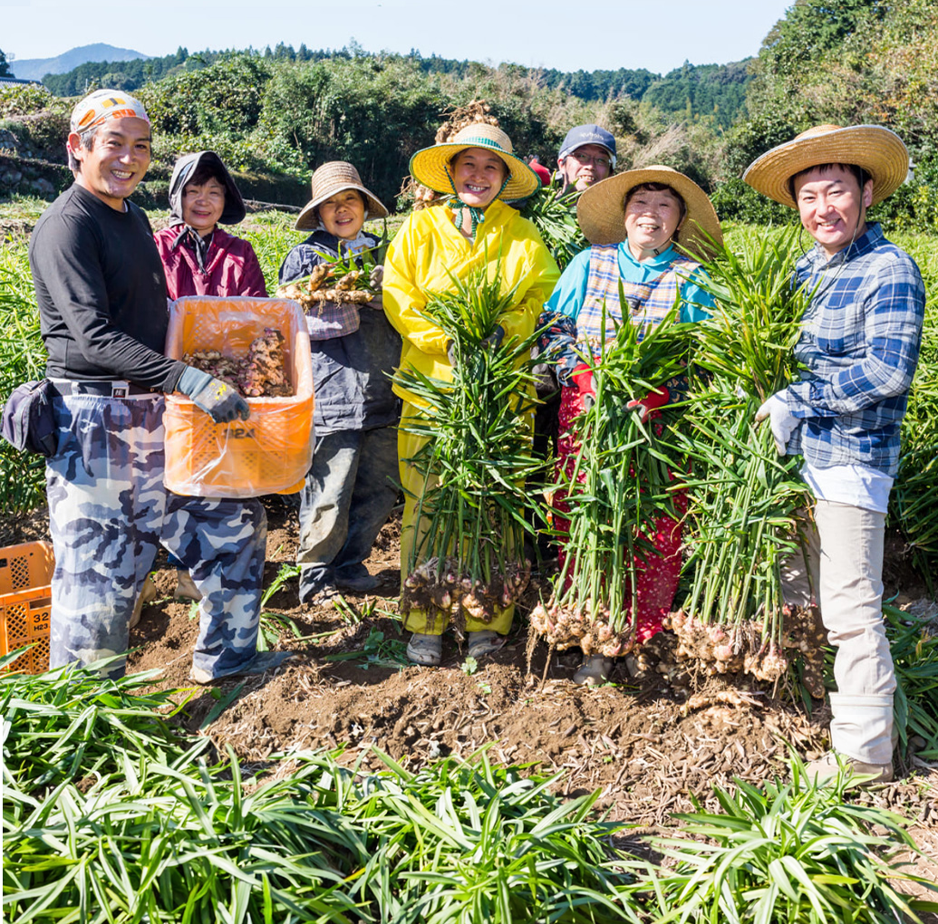 高知求人ネットmvの画像sp②